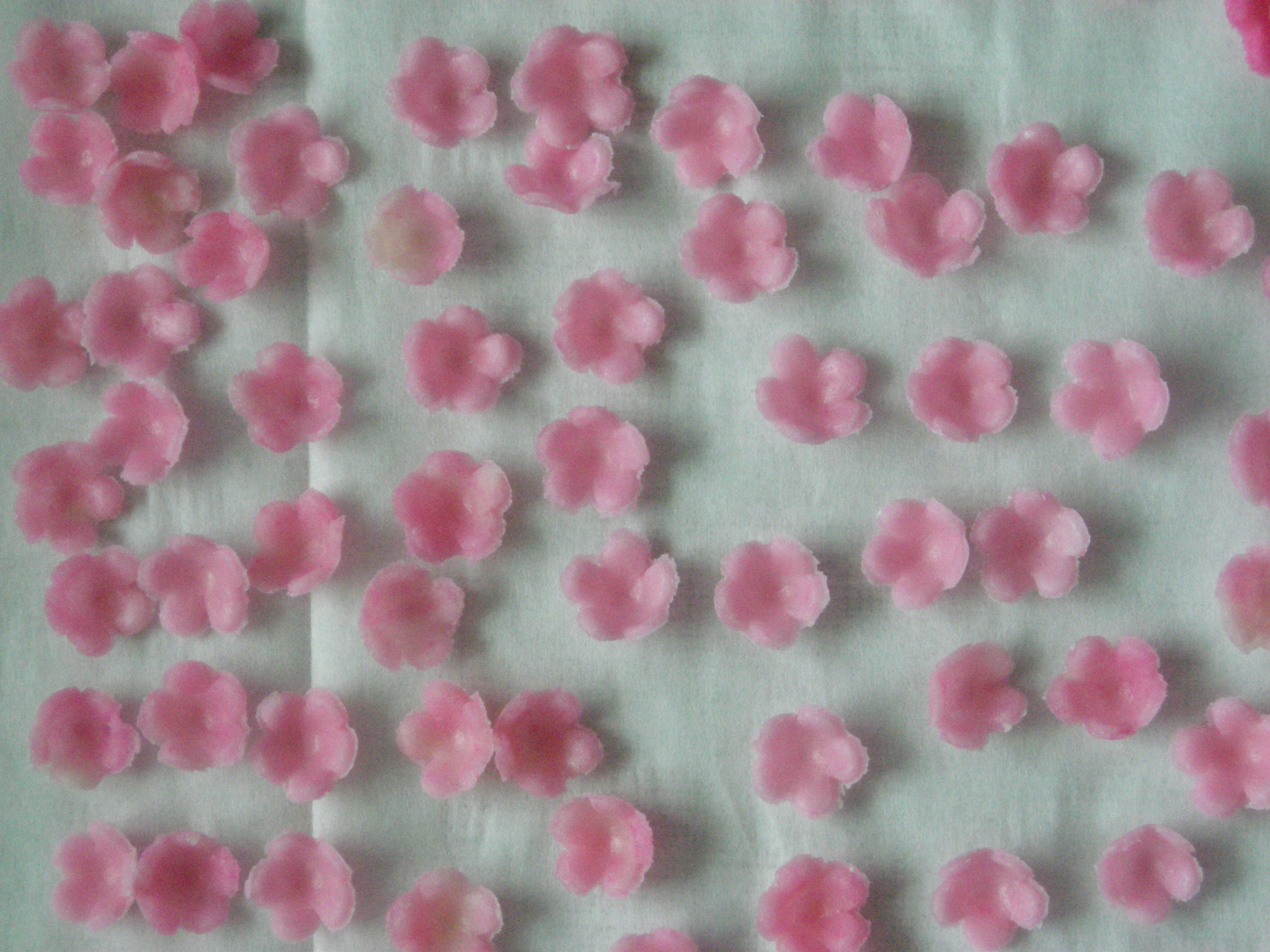 minikytičky růžová
